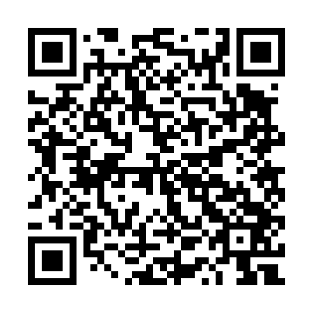 QR code for plate DQB 443