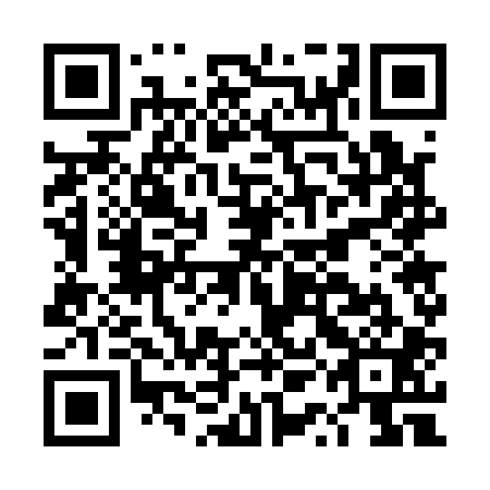 QR code for DQG 101
