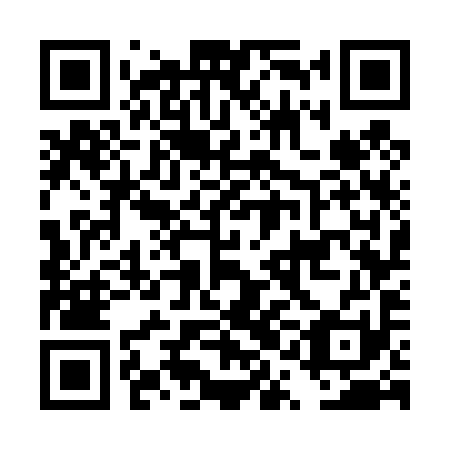 QR code for DQG 491