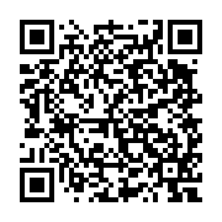 QR code for DQG 495