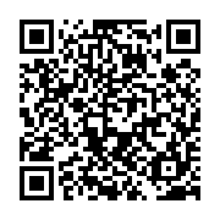 QR code for DQG 594