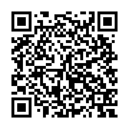 QR code for DQG 733