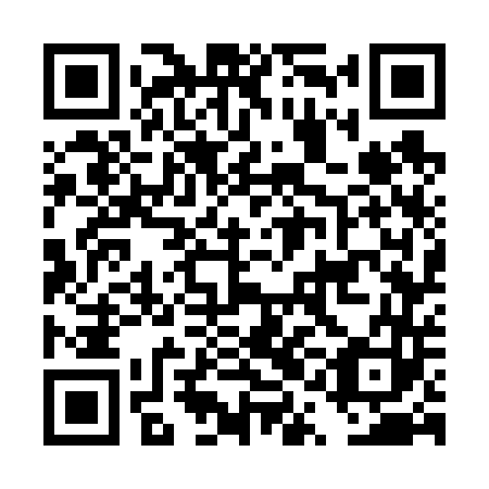 QR code for plate DQG 643