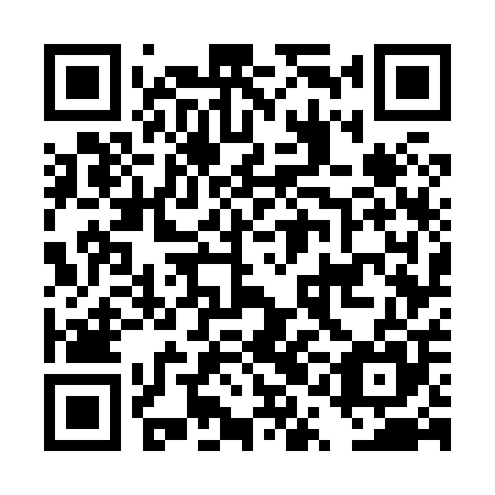 QR code for plate DQG 805