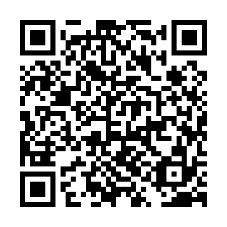 QR code for plate DQI 132