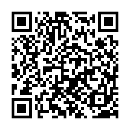 QR code for DQJ 313