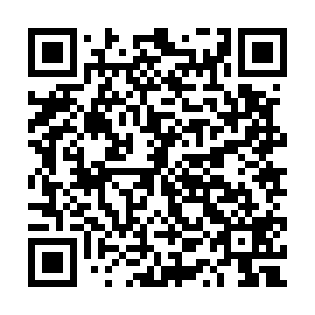 QR code for plate DQJ 519