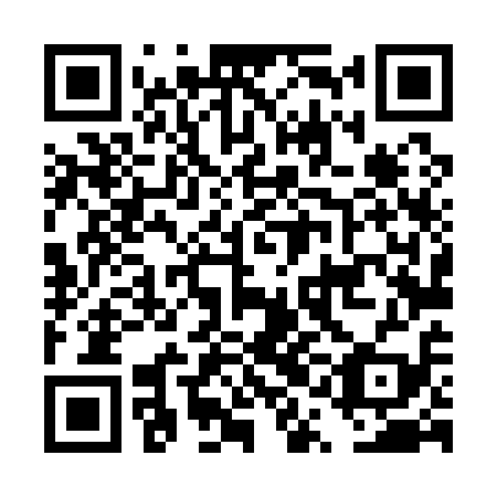 QR code for DQL 119