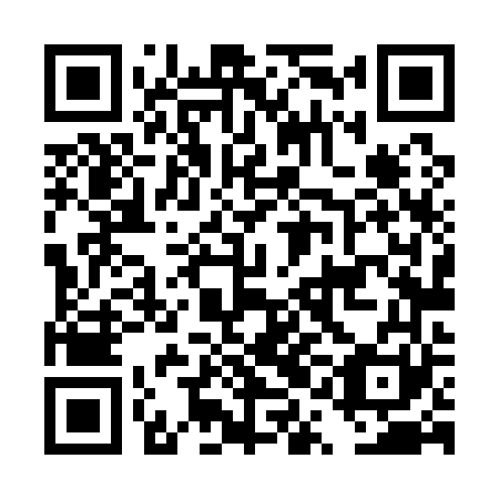QR code for DQL 161