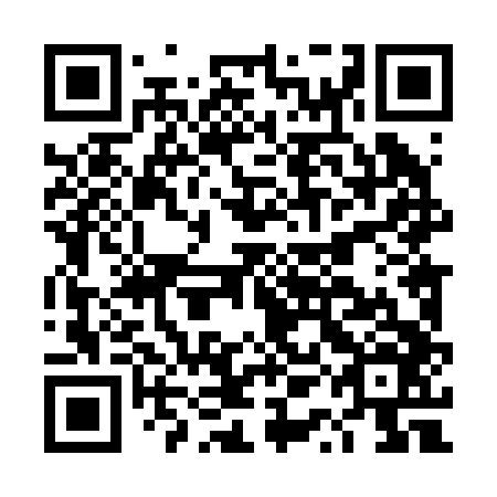 QR code for DQL 246