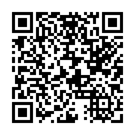 QR code for DQL384
