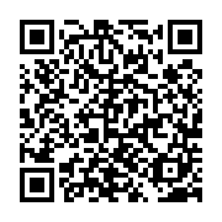 QR code for DQL541