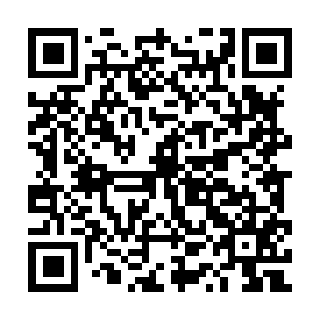 QR code for plate DQL 855