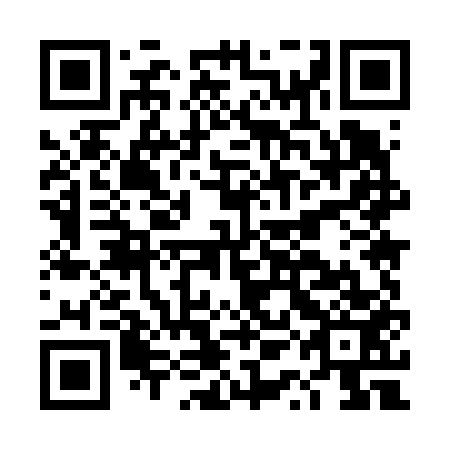QR code for DQM 653