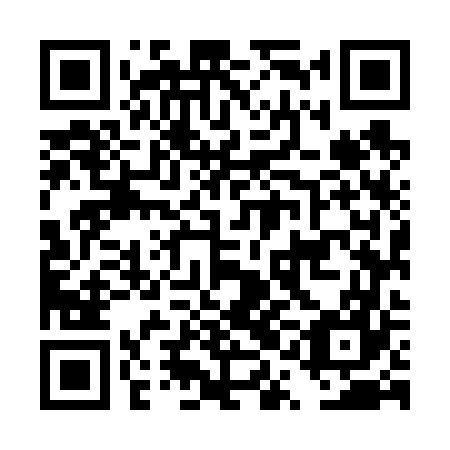 QR code for DQM 667