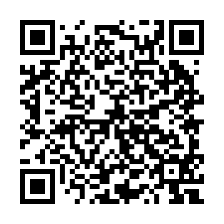 QR code for DQM294