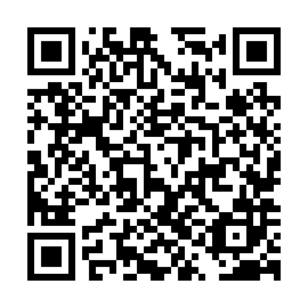 QR code for plate DQN 282