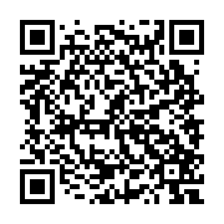 QR code for DQN307