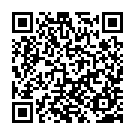 QR code for DQN384