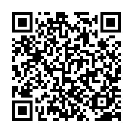 QR code for plate DQN 980