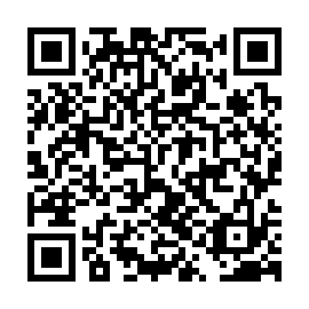 QR code for DQO 333