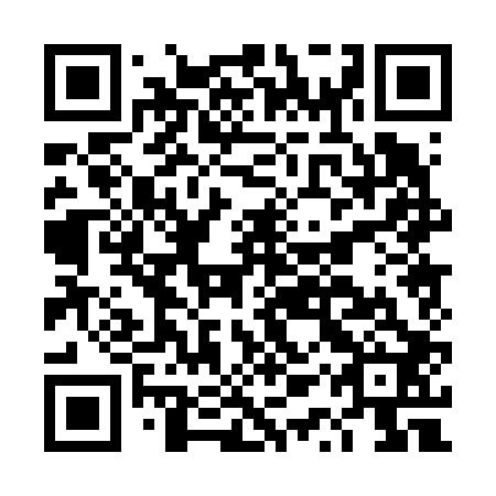 QR code for DQP 602