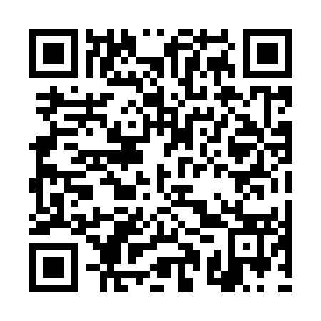QR code for DQP 953