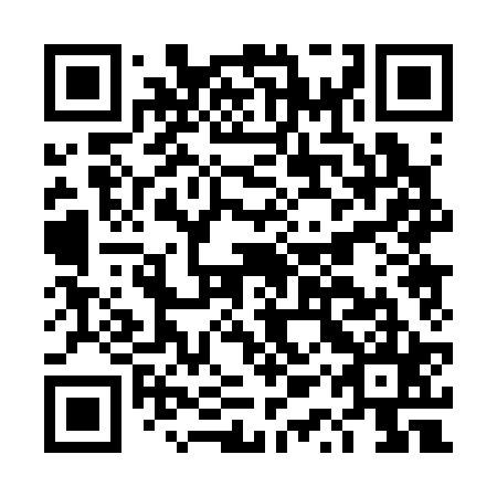 QR code for plate DQP 325