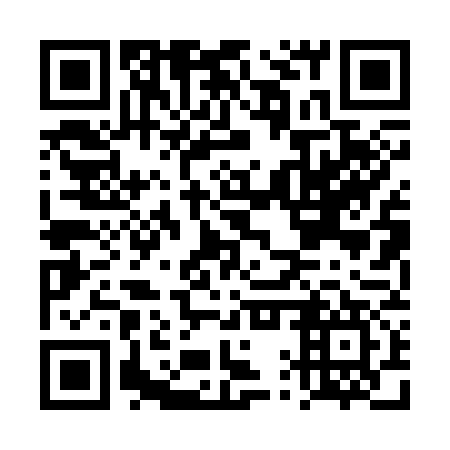 QR code for plate DQP 377
