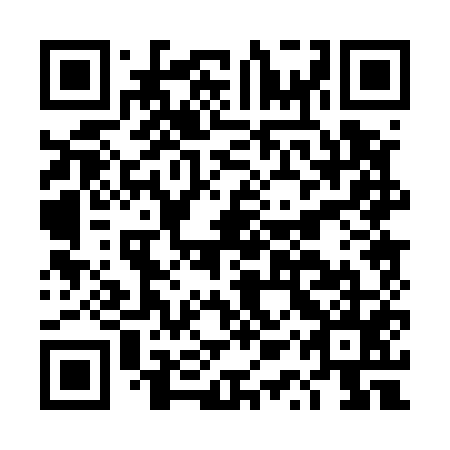 QR code for plate DQP 555