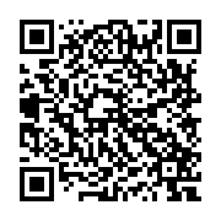 QR code for plate DQP 907