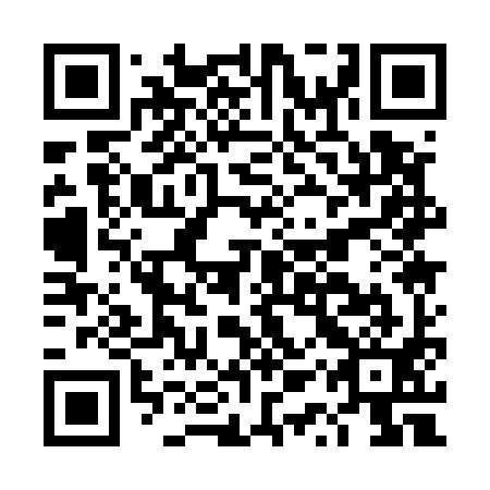 QR code for DQQ 591