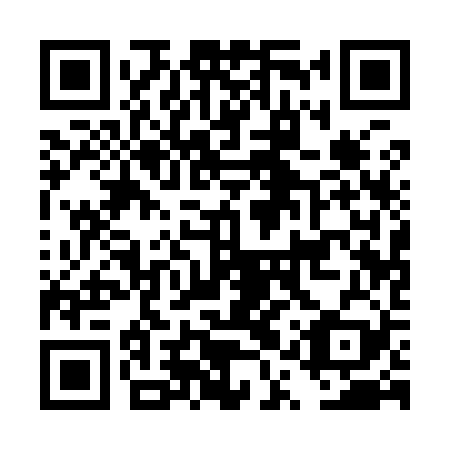 QR code for plate DQQ 929
