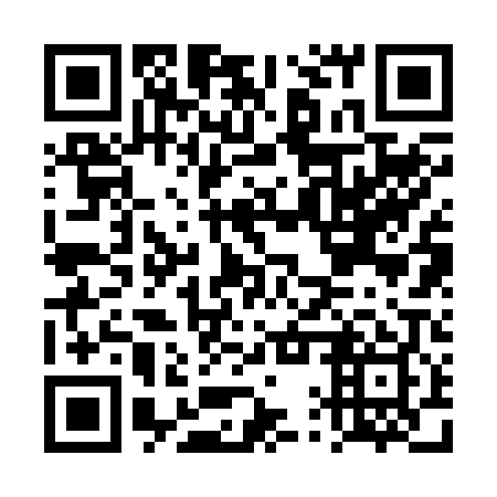 QR code for plate DQR 209