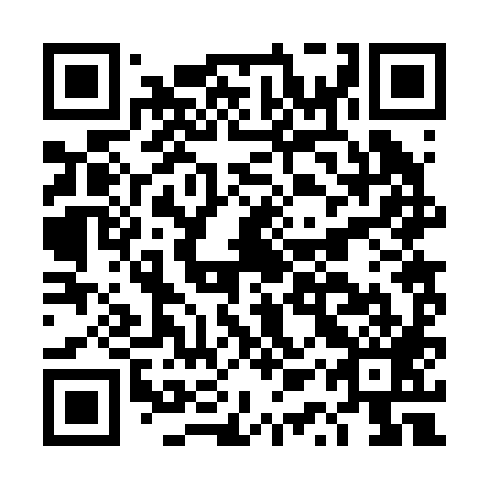 QR code for plate DQR 289