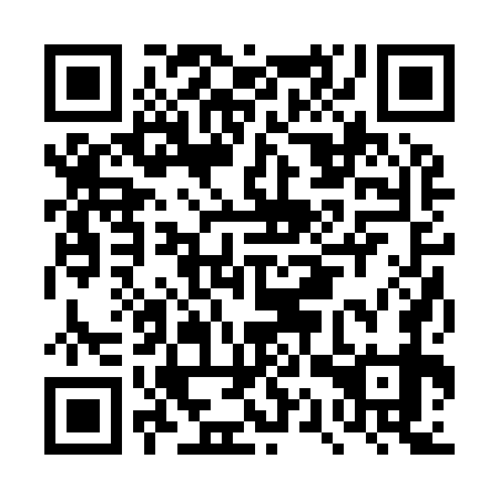 QR code for DQR979