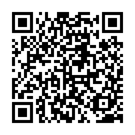 QR code for DQS 241