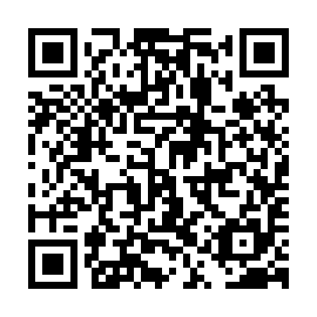 QR code for DQS 295