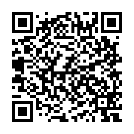 QR code for plate DQS 199