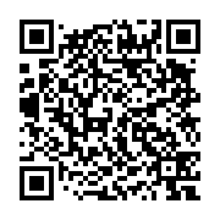 QR code for DQS439