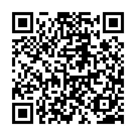 QR code for DQT 161