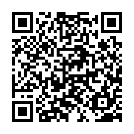 QR code for DQT 314
