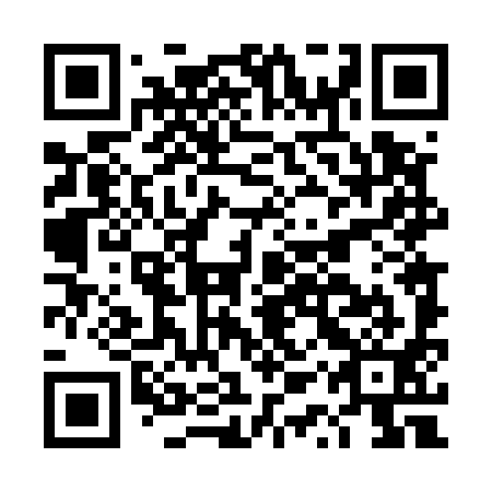 QR code for DQT 591