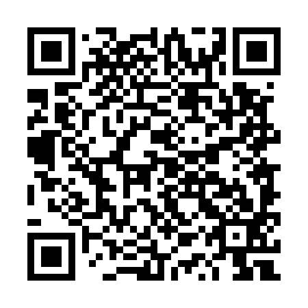 QR code for DQT 593