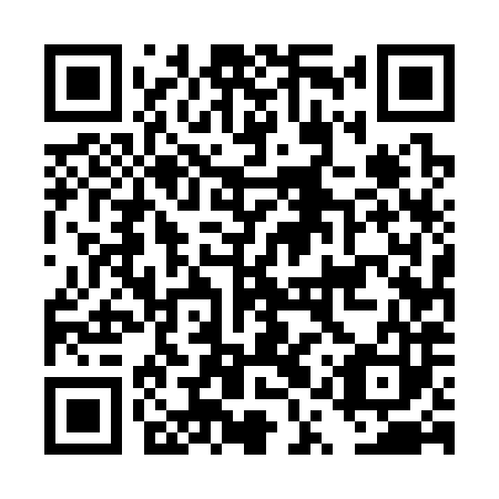 QR code for plate DQU 383