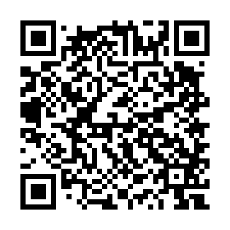QR code for plate DQU 483