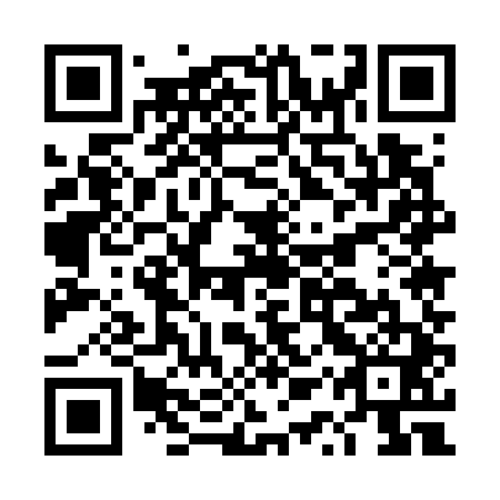 QR code for DQU741
