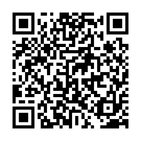 QR code for plate DQW 313