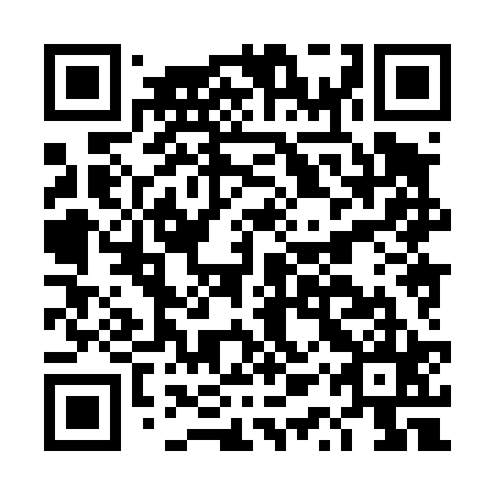 QR code for DQX 425
