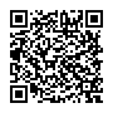 QR code for DQX 950